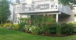 landscaping under deck