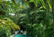 tropical pool landscaping
