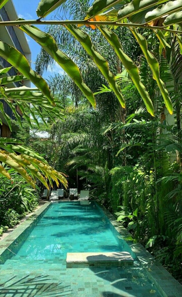 tropical pool landscaping