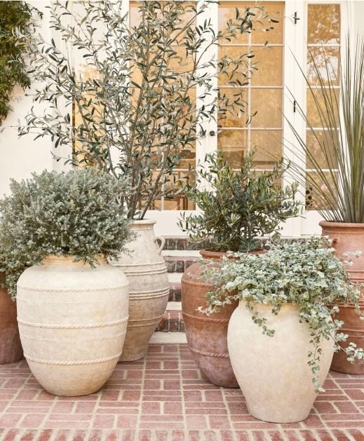 Ultimate Guide to Choosing Garden Planter Pots for Your Plants