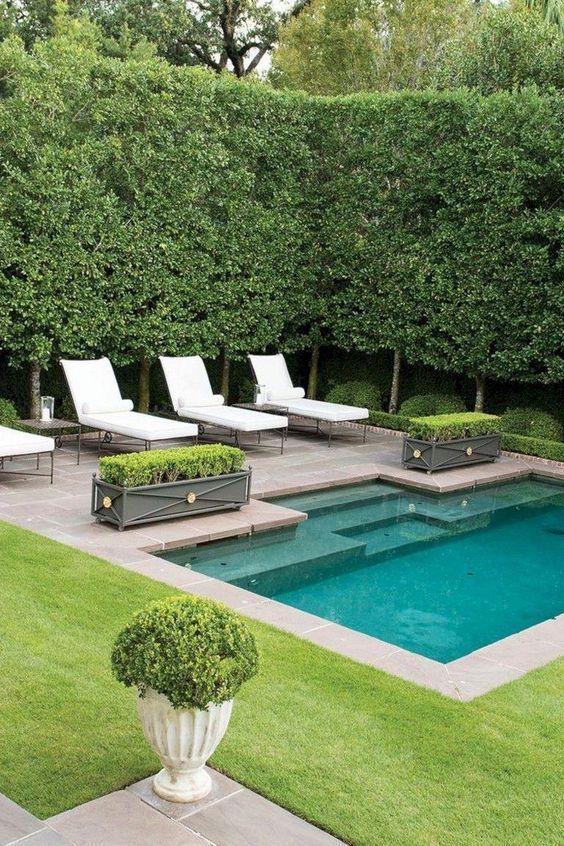 Ultimate Guide to Creating Stunning Backyard Patio Designs with Pool