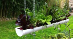 creative garden ideas