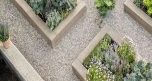 outdoor garden ideas