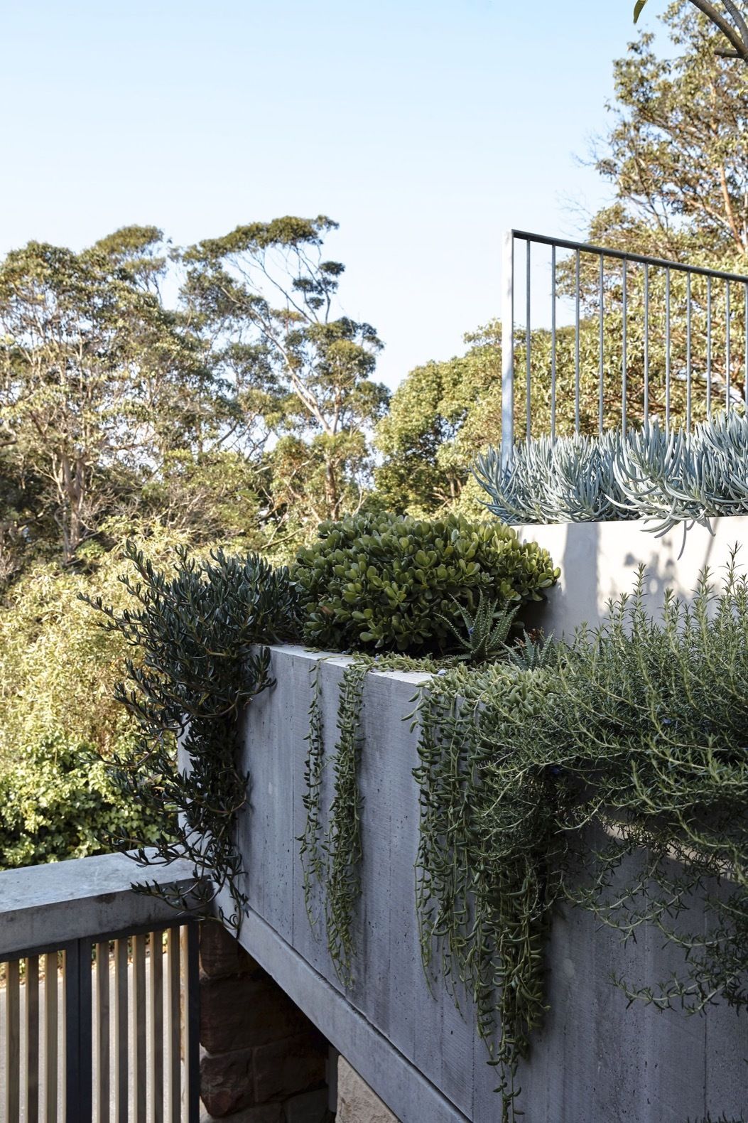 Unleashing the Power of Concrete Garden Planters