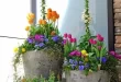 garden planter pots