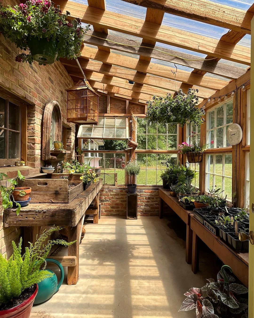 Unlocking the Benefits of a Backyard Greenhouse