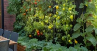 vertical gardening