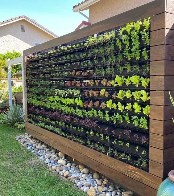 Upward Growing: The Beauty and Benefits of Vertical Gardening