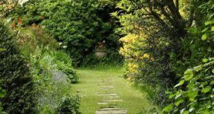 garden stepping stones