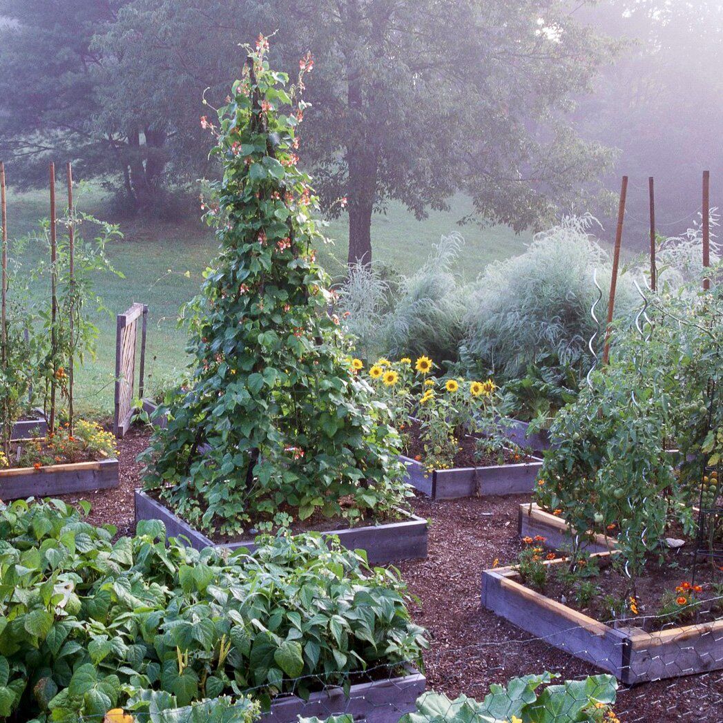 Why Raised Bed Gardens are the Perfect Solution for Your Plants