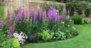 raised flower beds in front of house