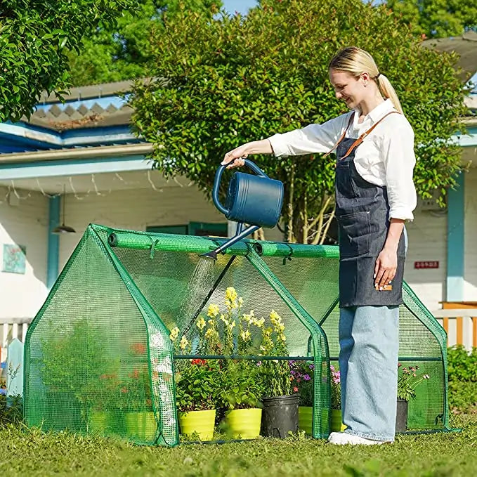 Quictent Mini Greenhouse with Large Doors, 2 Colors, Waterpro