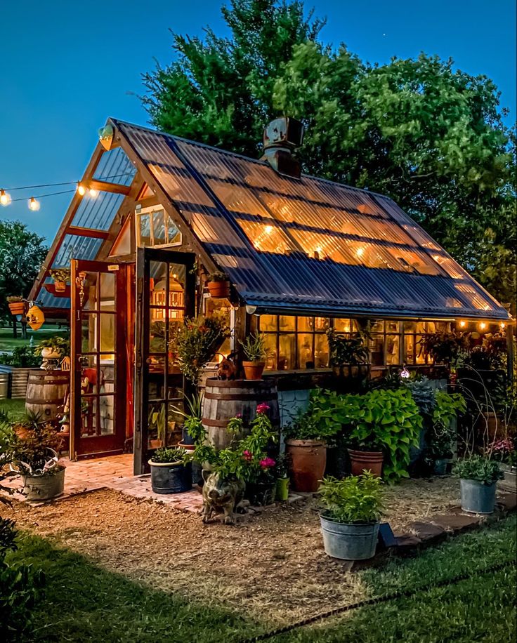 Greenhouse with Old Windows | Outdoor greenhouse, Rustic .