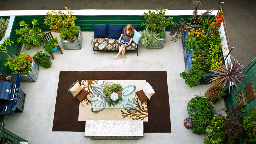 Amazing Backyard Ideas - Suns