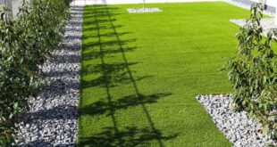 Smart Low-Maintenance Landscaping Ideas – Forbes Ho