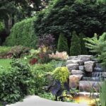 Smart Low-Maintenance Landscaping Ideas – Forbes Ho