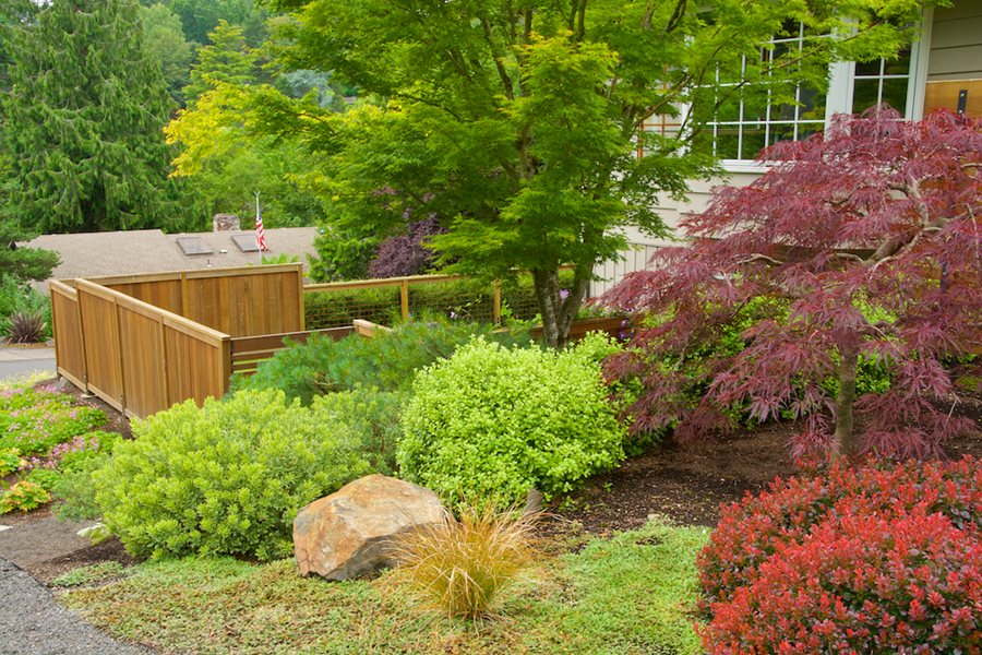 Hillside Landscaping: How to Landscape on a Slope | Garden Desi