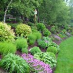 Pin by Jamie Chekouras on Backyard hill landscaping | Sloped .