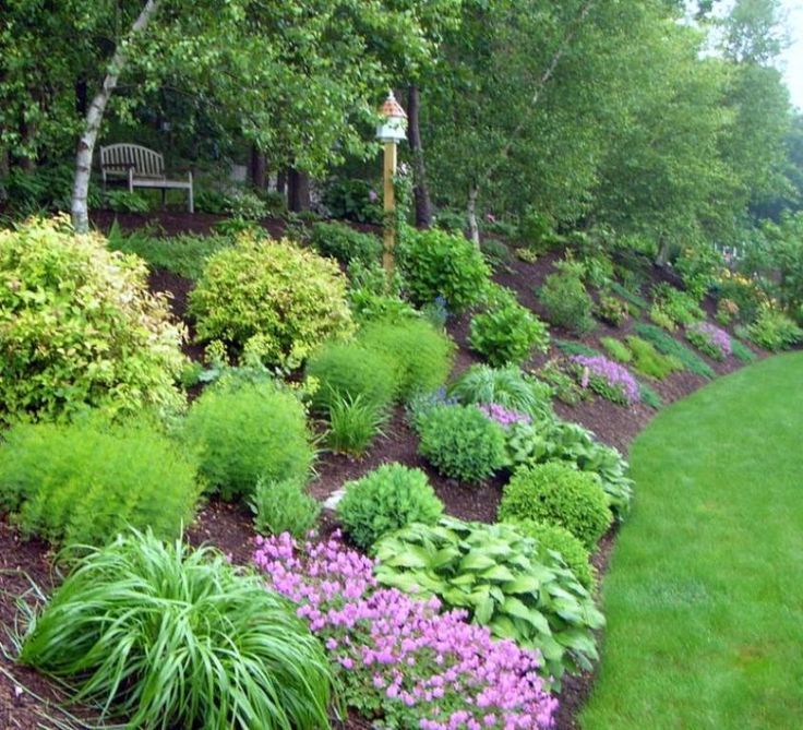 Pin by Jamie Chekouras on Backyard hill landscaping | Sloped .