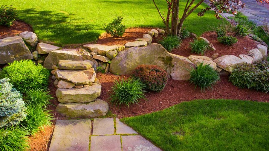 5 Cheap Landscaping Ideas When You're On a Budget – Forbes Ho