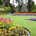 Best Backyard Landscaping Ideas – Forbes Ho