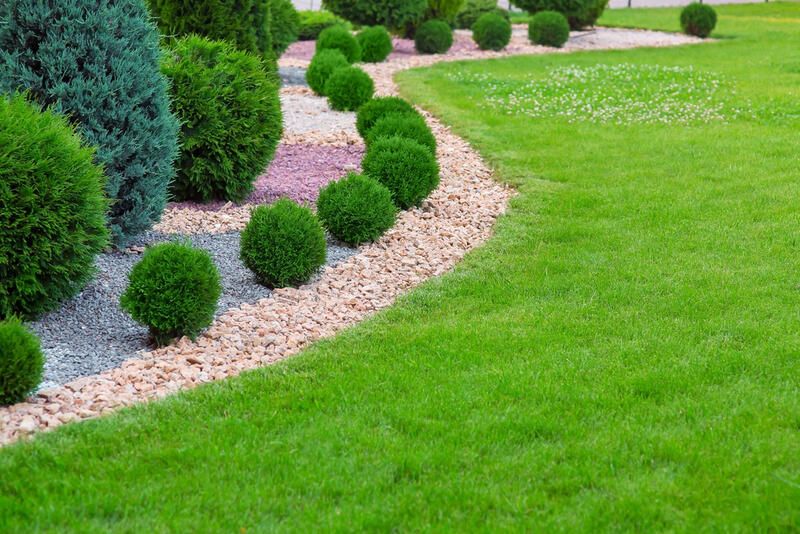 10 Cheap Backyard Ideas: No Grass Backyard Landscaping Options .