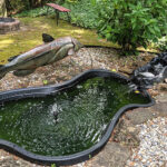 Create Your Own Backyard Fishpond - Game & Fi