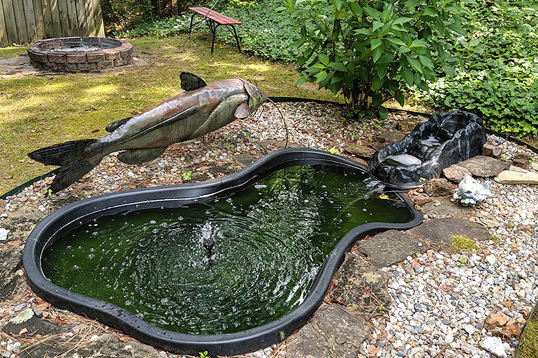 Create Your Own Backyard Fishpond - Game & Fi