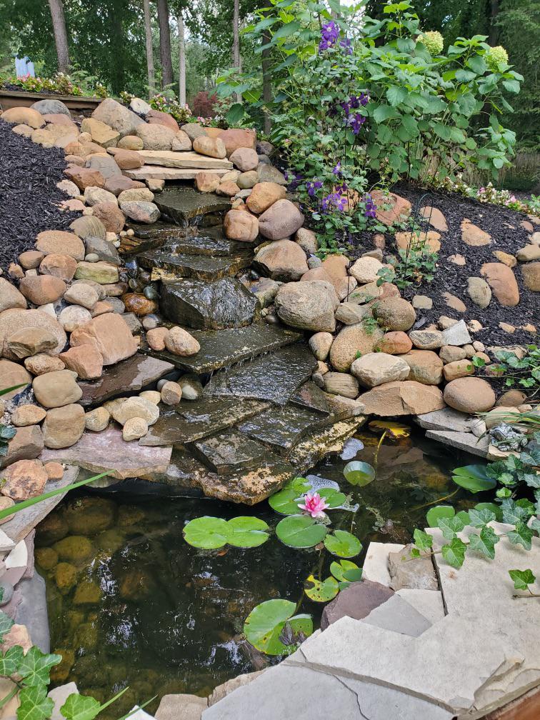 Mini Eco System Backyard Pond : r/pon