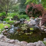 The Pros And Cons Of A Backyard Koi Pond - Amen Corner Pon