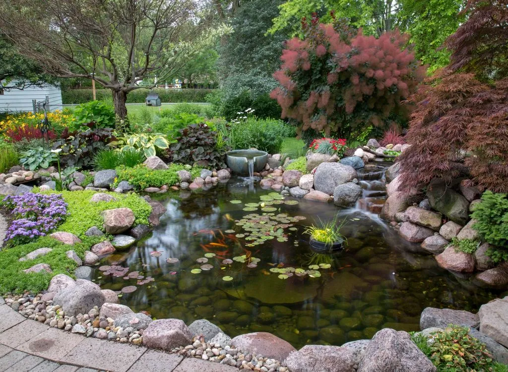 The Pros And Cons Of A Backyard Koi Pond - Amen Corner Pon