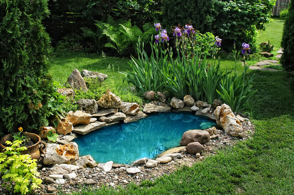 Best Small Pond Ideas and Tips to Transform Your Backyard | Living .