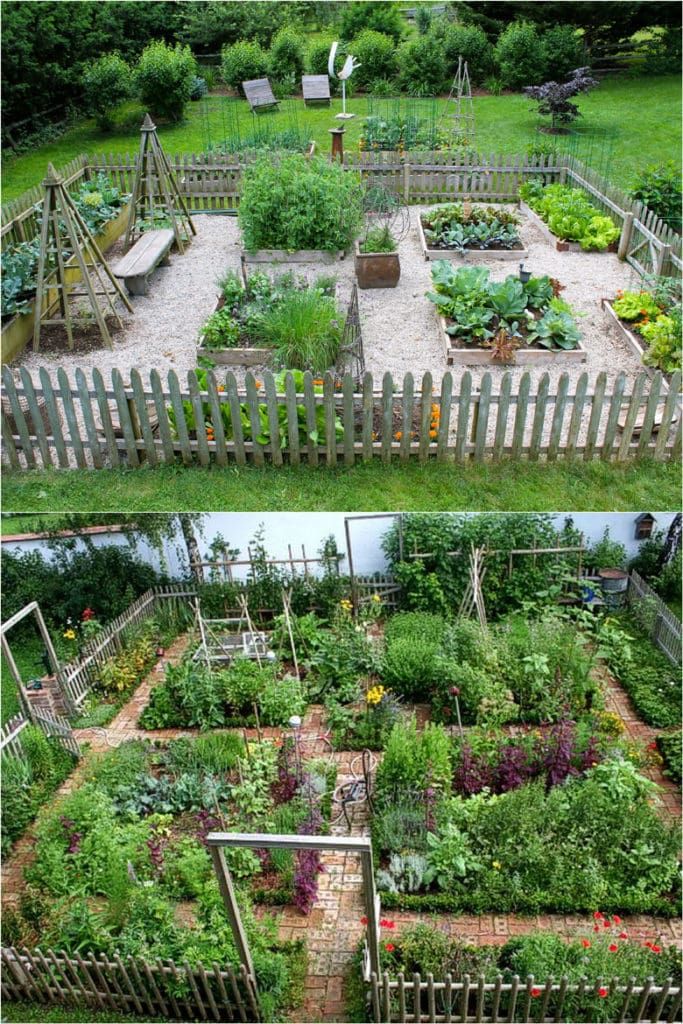 Vegetable Gardening for Beginners: Essential Tips & Hacks .