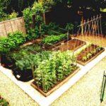 80 Affordable Backyard Vegetable Garden Design Ideas | Vegetable .