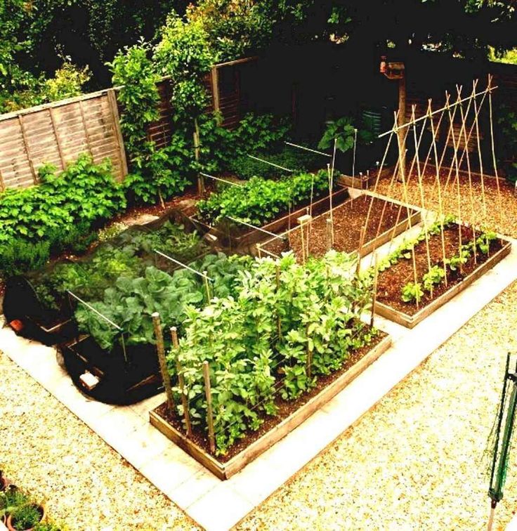 80 Affordable Backyard Vegetable Garden Design Ideas | Vegetable .