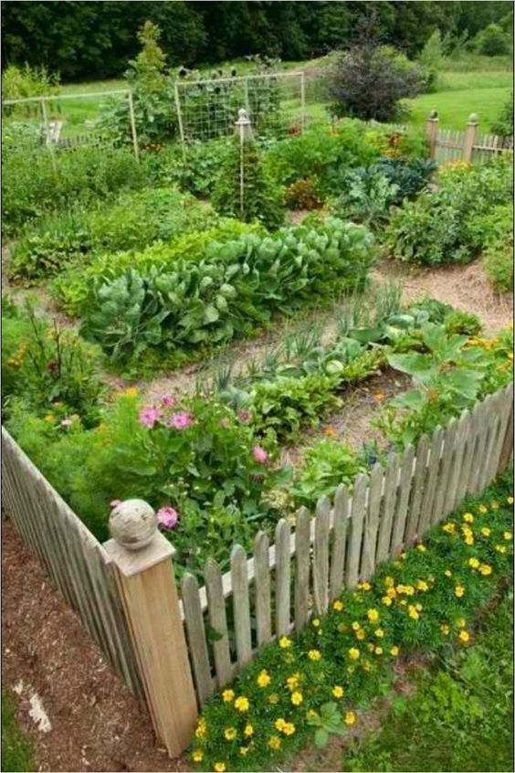 Pin by chou on Jardin potager | Garden layout, Small vegetable .