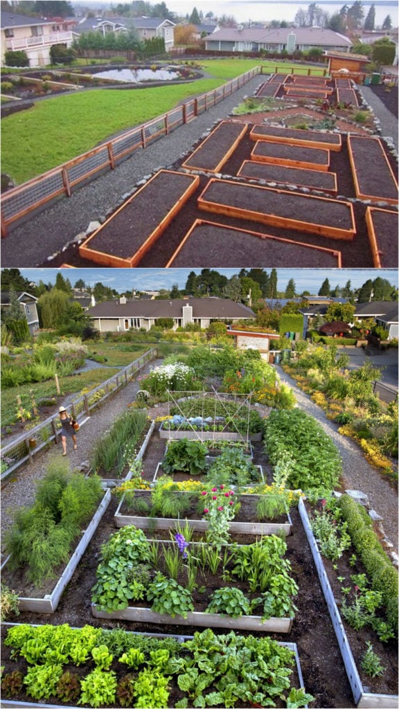 Vegetable Garden Layout: 7 Best Design Secrets - A Piece Of Rainb