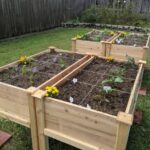 15 Vegetable Garden Ideas – Forbes Ho