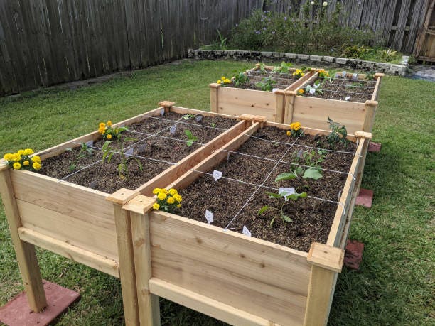 15 Vegetable Garden Ideas – Forbes Ho