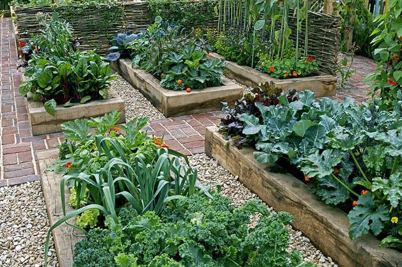 Incredible Vegetable Garden ideas…. - Ibiene Magazi