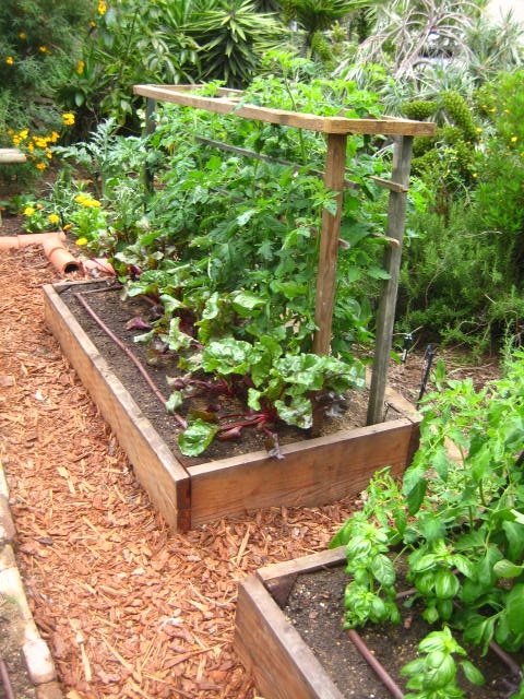 Vegetable Garden Ideas - Landscaping with Vegetables - Landscaping .