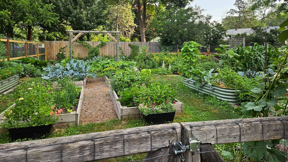 Vegetable Garden Design Basics - Forks in the Di