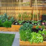 75 Vegetable Garden Landscape Ideas You'll Love - May, 2024 | Hou