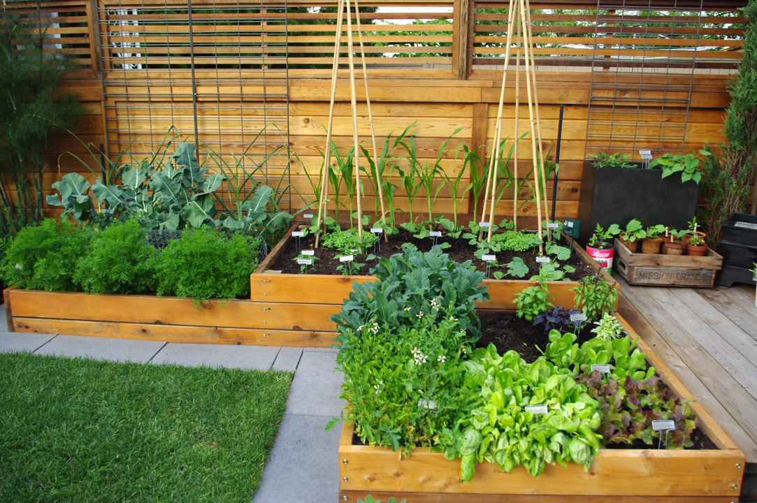 75 Vegetable Garden Landscape Ideas You'll Love - May, 2024 | Hou