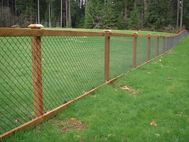 Nice way to dress up the typical chain link fencing. | Modern .