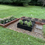 The Best Raised Garden Beds on a Budget • Gardena