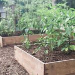 How To Build A Raised Garden Bed For Cheap - Farmhouse on Boo