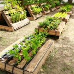 40 Inexpensive Raised Garden Bed Ideas for a Cheap, Above-Ground .