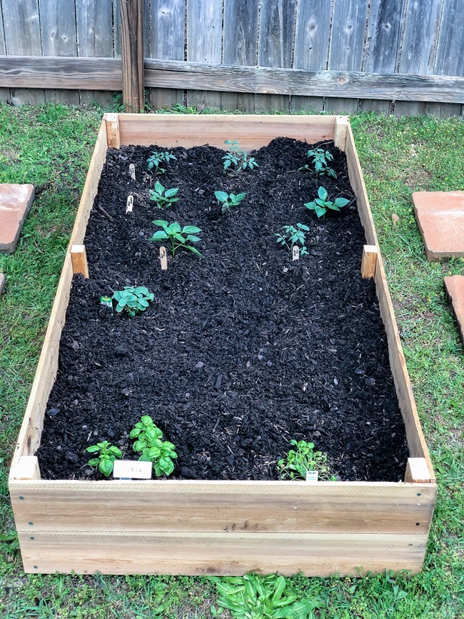 How to build easy and inexpensive DIY raised garden be