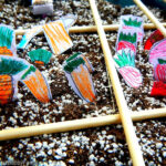 Garden Design with Children - Hobby Far